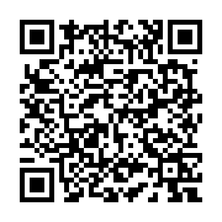 QR code for P394