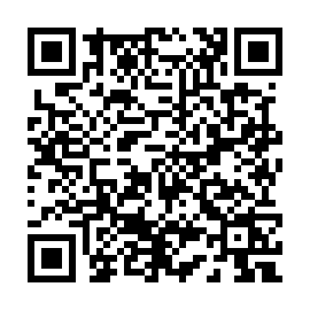 QR code for P395