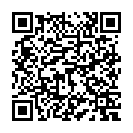QR code for P397