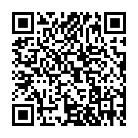 QR code for P4028