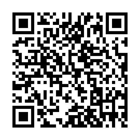 QR code for P4079