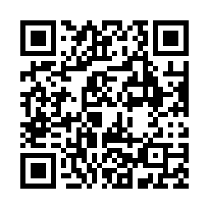 QR code for P41