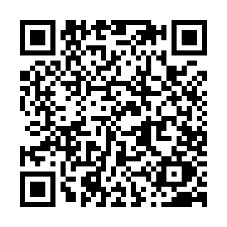 QR code for P419