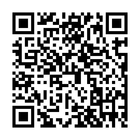 QR code for P4299