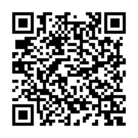 QR code for P498