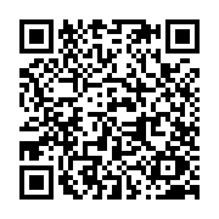 QR code for P499