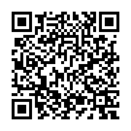 QR code for P511