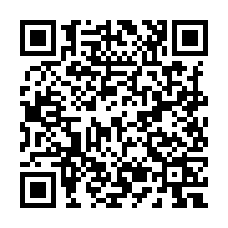QR code for P529