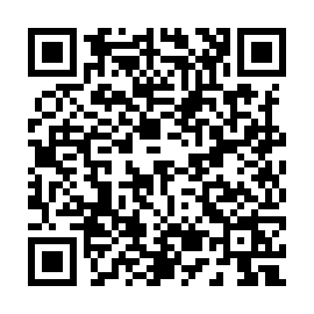 QR code for P539