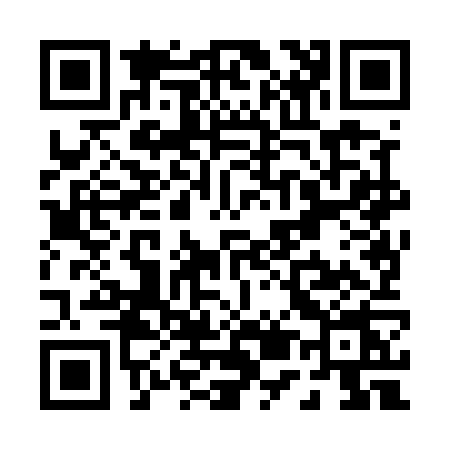 QR code for P585