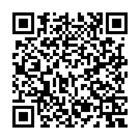 QR code for P591