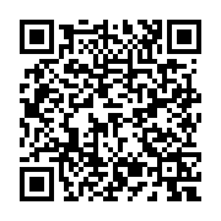 QR code for P597