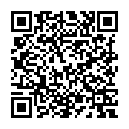 QR code for P599