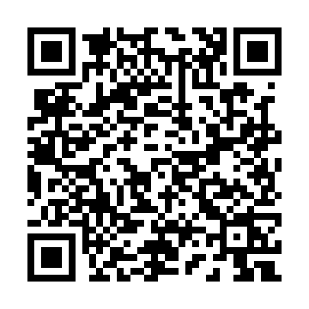 QR code for P601