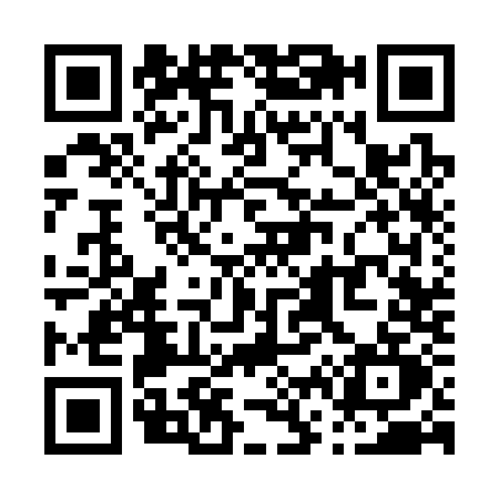 QR code for P633