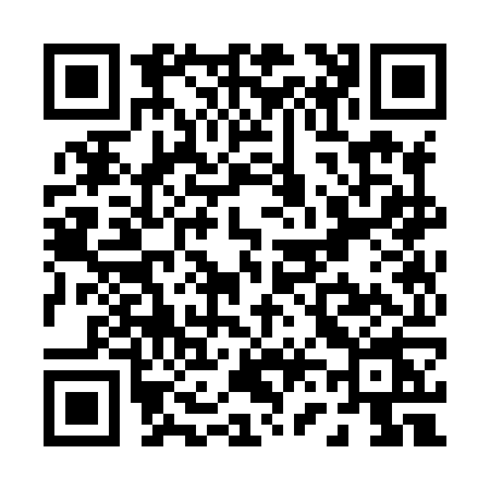 QR code for P638