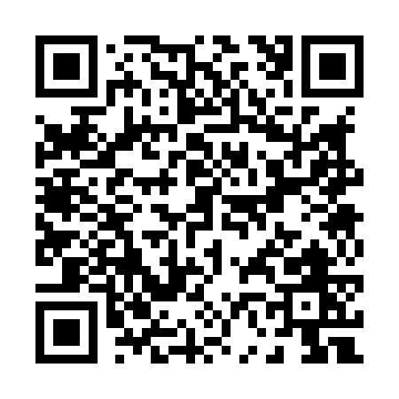 QR code for P6387