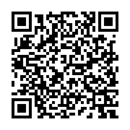 QR code for P641