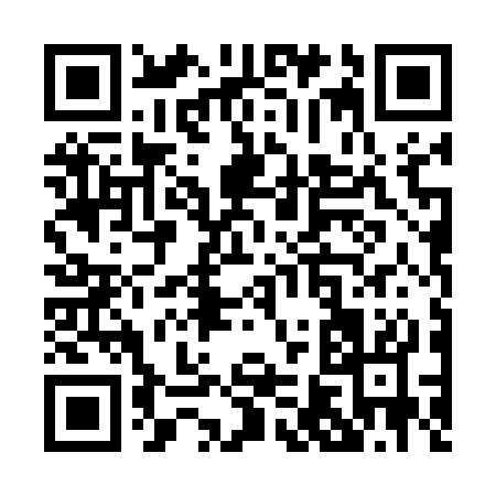 QR code for P6453