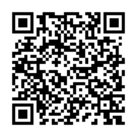 QR code for P647