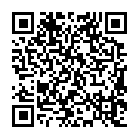 QR code for P6538