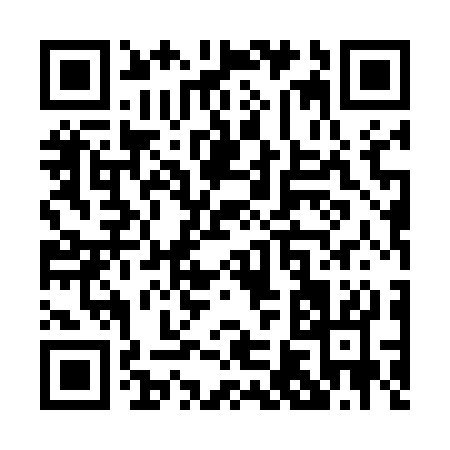 QR code for P6553