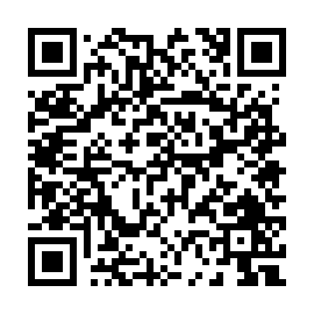 QR code for P6576