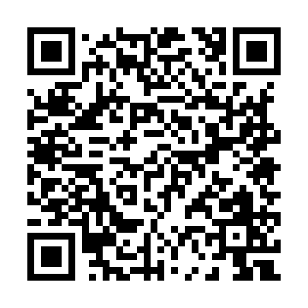 QR code for P6591
