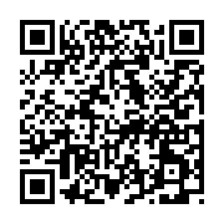 QR code for P6658