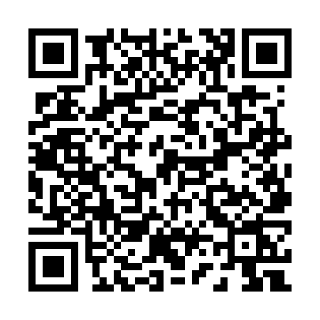 QR code for P667