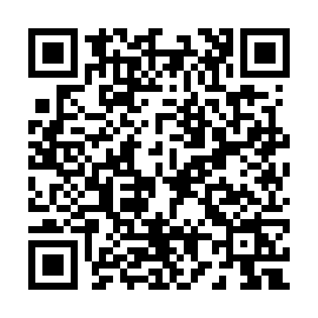 QR code for P817
