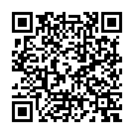 QR code for P818