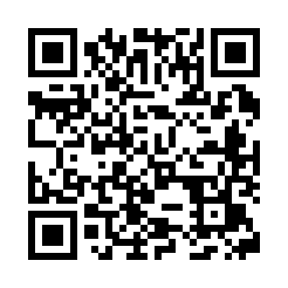 QR code for P85