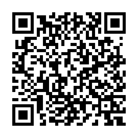 QR code for P873