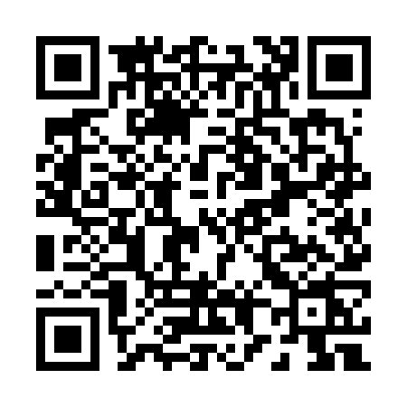 QR code for P876