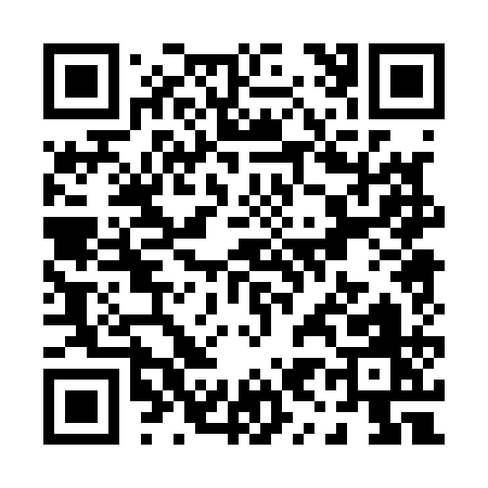 QR code for P9011
