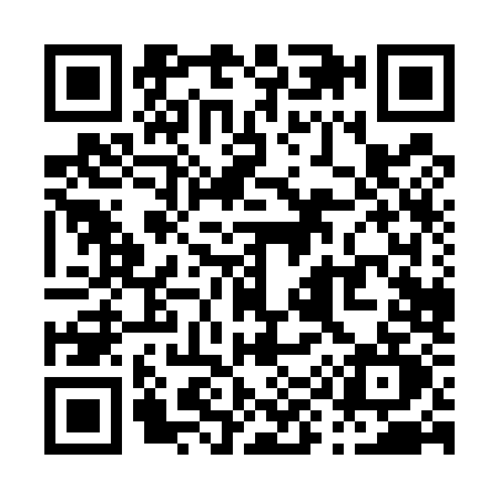 QR code for P905