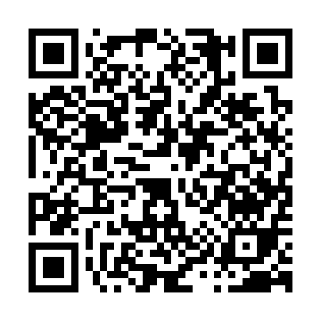 QR code for P9131
