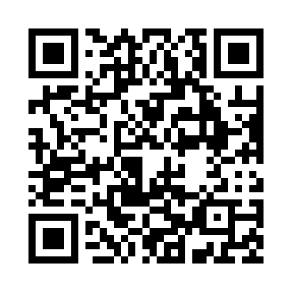QR code for P95
