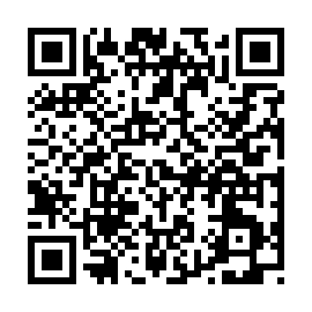 QR code for P9617