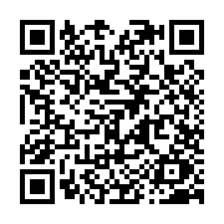 QR code for P991