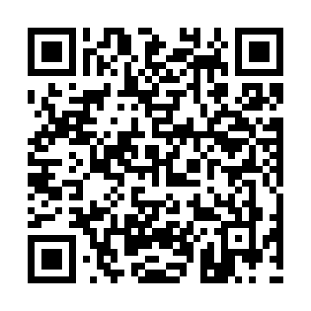 QR code for Q013