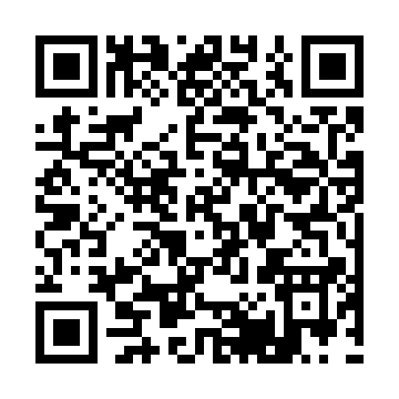 QR code for Q0371