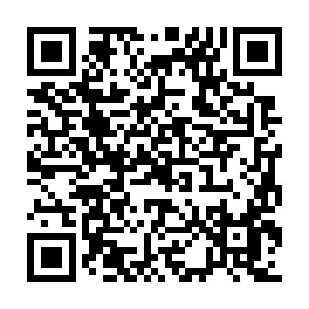 QR code for Q0379
