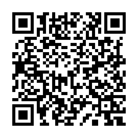 QR code for Q229