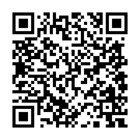 QR code for Q2641