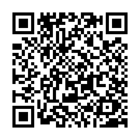 QR code for Q295