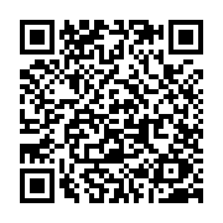 QR code for Q299