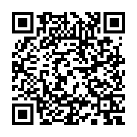 QR code for Q303