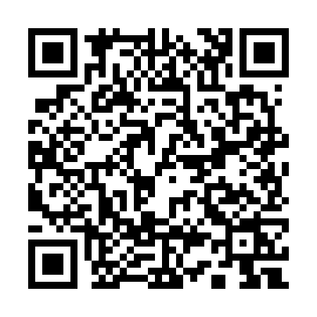 QR code for Q306